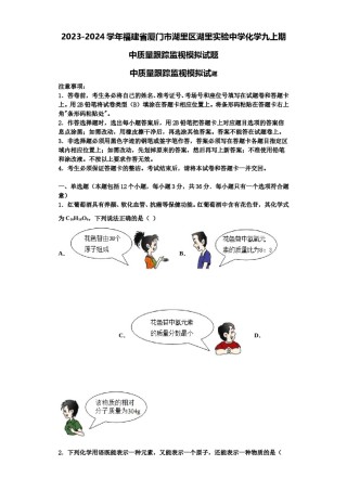 2023-2024学年福建省厦门市湖里区湖里实验中学化学九上期中质量跟踪监视模拟试题含解析.doc