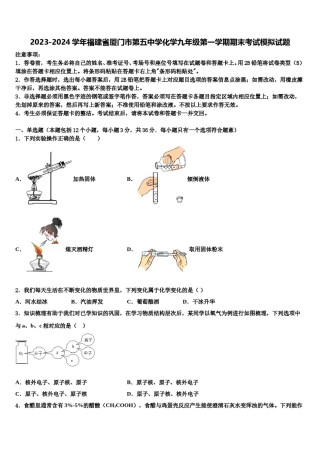 2023-2024学年福建省厦门市第五中学化学九年级第一学期期末考试模拟试题含解析.doc