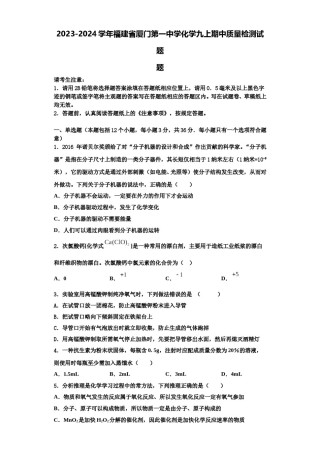 2023-2024学年福建省厦门第一中学化学九上期中质量检测试题含解析.doc