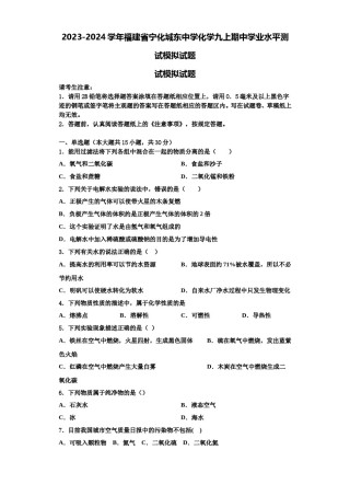 2023-2024学年福建省宁化城东中学化学九上期中学业水平测试模拟试题含解析.doc