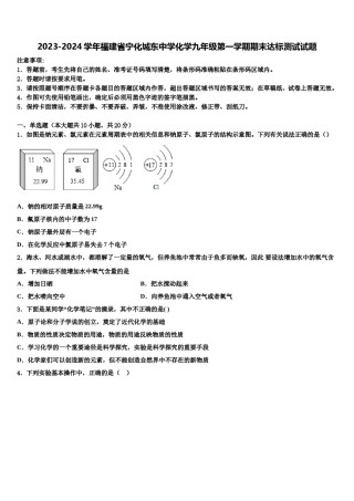 2023-2024学年福建省宁化城东中学化学九年级第一学期期末达标测试试题含解析.doc