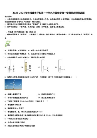 2023-2024学年福建省平和第一中学九年级化学第一学期期末预测试题含解析.doc