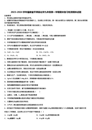 2023-2024学年福建省平潭县化学九年级第一学期期末复习检测模拟试题含解析.doc