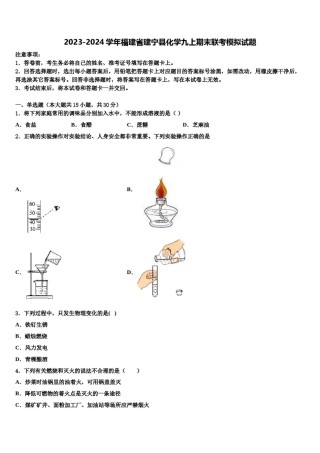 2023-2024学年福建省建宁县化学九上期末联考模拟试题含解析.doc