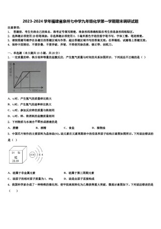 2023-2024学年福建省泉州七中学九年级化学第一学期期末调研试题含解析.doc