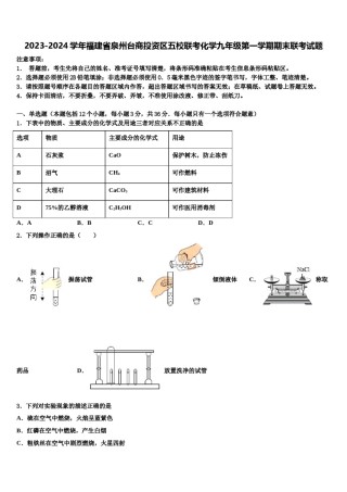 2023-2024学年福建省泉州台商投资区五校联考化学九年级第一学期期末联考试题含解析.doc