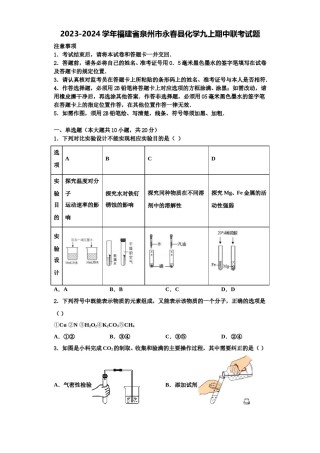 2023-2024学年福建省泉州市永春县化学九上期中联考试题含解析.doc