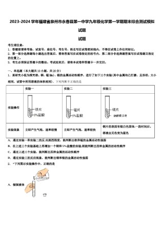 2023-2024学年福建省泉州市永春县第一中学九年级化学第一学期期末综合测试模拟试题含解析.doc