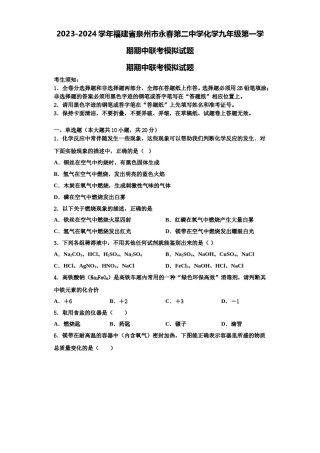 2023-2024学年福建省泉州市永春第二中学化学九年级第一学期期中联考模拟试题含解析.doc