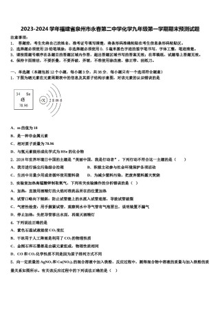 2023-2024学年福建省泉州市永春第二中学化学九年级第一学期期末预测试题含解析.doc