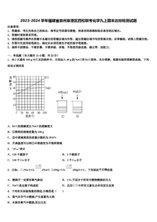 2023-2024学年福建省泉州泉港区四校联考化学九上期末达标检测试题含解析.doc