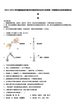 2023-2024学年福建省泉州聚龙外国语学校化学九年级第一学期期末达标检测模拟试题含解析.doc