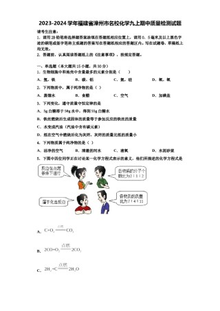 2023-2024学年福建省漳州市名校化学九上期中质量检测试题含解析.doc