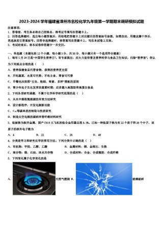 2023-2024学年福建省漳州市名校化学九年级第一学期期末调研模拟试题含解析.doc