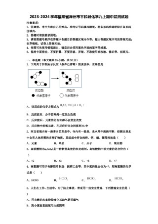2023-2024学年福建省漳州市平和县化学九上期中监测试题含解析.doc