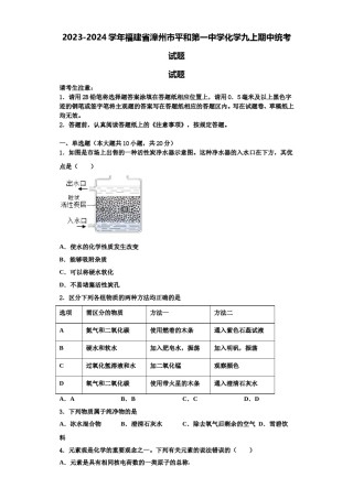 2023-2024学年福建省漳州市平和第一中学化学九上期中统考试题含解析.doc