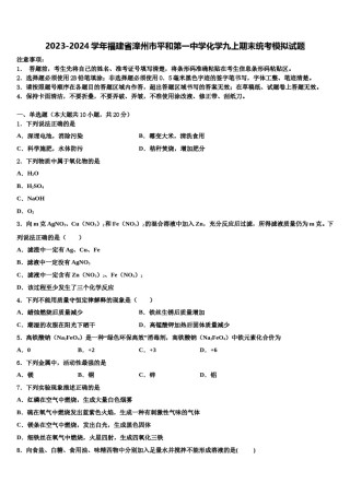2023-2024学年福建省漳州市平和第一中学化学九上期末统考模拟试题含解析.doc