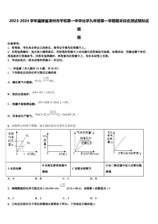2023-2024学年福建省漳州市平和第一中学化学九年级第一学期期末综合测试模拟试题含解析.doc