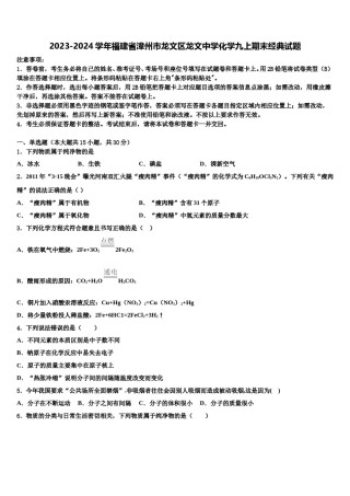 2023-2024学年福建省漳州市龙文区龙文中学化学九上期末经典试题含解析.doc