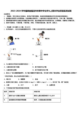 2023-2024学年福建省福清市林厝中学化学九上期末学业质量监测试题含解析.doc