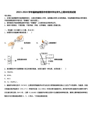 2023-2024学年福建省莆田市哲理中学化学九上期末检测试题含解析.doc