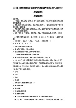 2023-2024学年福建省莆田市秀屿区湖东中学化学九上期中经典模拟试题含解析.doc