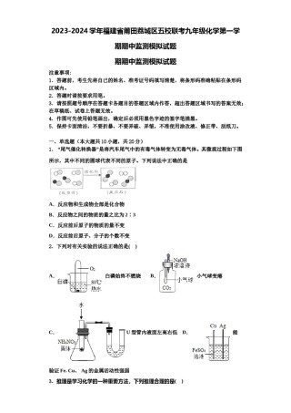 2023-2024学年福建省莆田荔城区五校联考九年级化学第一学期期中监测模拟试题含解析.doc