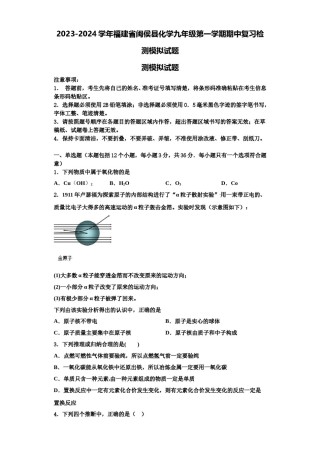 2023-2024学年福建省闽侯县化学九年级第一学期期中复习检测模拟试题含解析.doc
