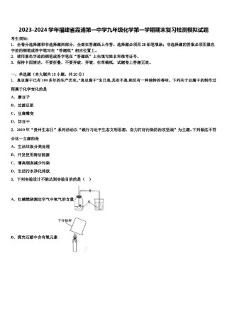 2023-2024学年福建省霞浦第一中学九年级化学第一学期期末复习检测模拟试题含解析.doc