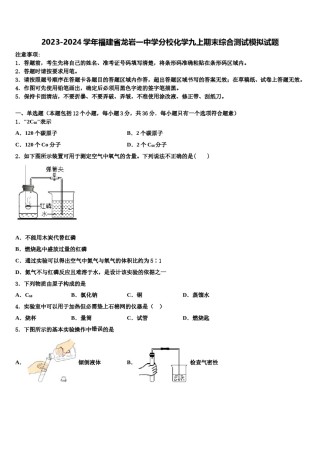 2023-2024学年福建省龙岩一中学分校化学九上期末综合测试模拟试题含解析.doc