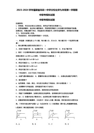 2023-2024学年福建省龙岩一中学分校化学九年级第一学期期中联考模拟试题含解析.doc