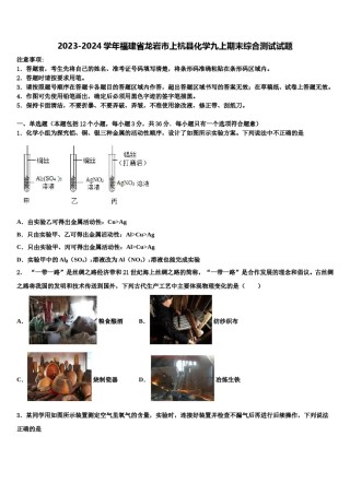 2023-2024学年福建省龙岩市上杭县化学九上期末综合测试试题含解析.doc