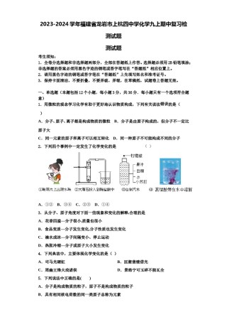 2023-2024学年福建省龙岩市上杭四中学化学九上期中复习检测试题含解析.doc