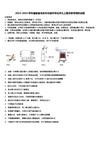 2023-2024学年福建省龙岩市北城中学化学九上期末联考模拟试题含解析.doc