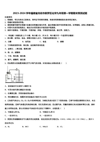2023-2024学年福建省龙岩市新罗区化学九年级第一学期期末预测试题含解析.doc