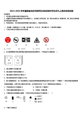 2023-2024学年福建省龙岩市新罗区龙岩初级中学化学九上期末检测试题含解析.doc