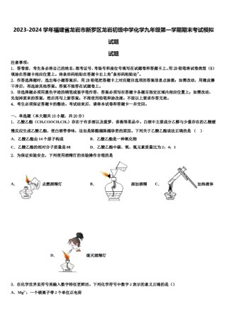 2023-2024学年福建省龙岩市新罗区龙岩初级中学化学九年级第一学期期末考试模拟试题含解析.doc