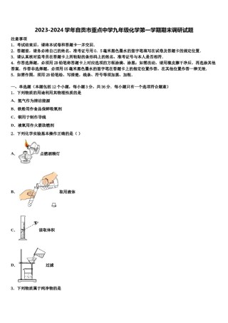 2023-2024学年自贡市重点中学九年级化学第一学期期末调研试题含解析.doc