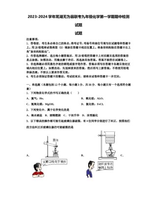 2023-2024学年芜湖无为县联考九年级化学第一学期期中检测试题含解析.doc