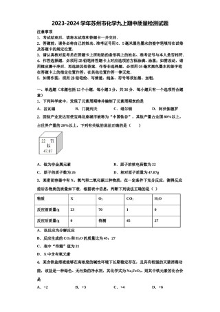 2023-2024学年苏州市化学九上期中质量检测试题含解析.doc