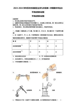 2023-2024学年苏州市高新区化学九年级第一学期期中学业水平测试模拟试题含解析.doc