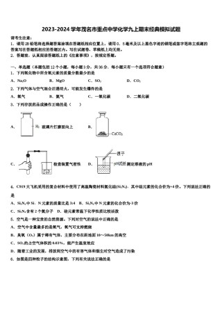 2023-2024学年茂名市重点中学化学九上期末经典模拟试题含解析.doc