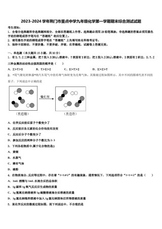 2023-2024学年荆门市重点中学九年级化学第一学期期末综合测试试题含解析.doc