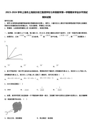2023-2024学年上海市上海民办张江集团学校七年级数学第一学期期末学业水平测试模拟试题含解析.doc