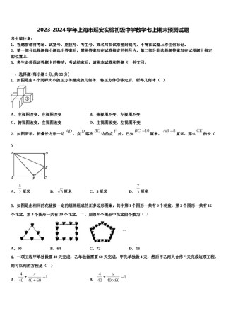 2023-2024学年上海市延安实验初级中学数学七上期末预测试题含解析.doc