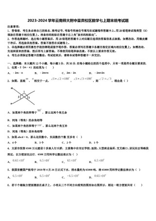 2023-2024学年云南师大附中呈贡校区数学七上期末统考试题含解析.doc