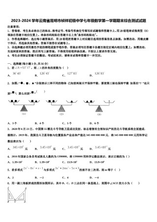 2023-2024学年云南省昆明市祯祥初级中学七年级数学第一学期期末综合测试试题含解析.doc