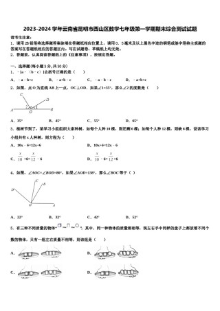 2023-2024学年云南省昆明市西山区数学七年级第一学期期末综合测试试题含解析.doc