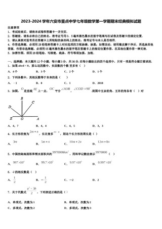 2023-2024学年六安市重点中学七年级数学第一学期期末经典模拟试题含解析.doc