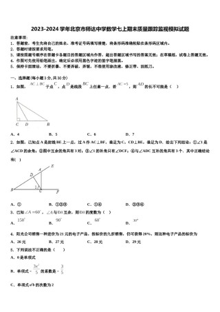 2023-2024学年北京市师达中学数学七上期末质量跟踪监视模拟试题含解析.doc